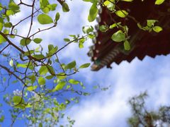 -红螺寺