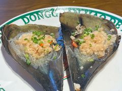 带子-蚝得喜海鲜(东城店)