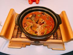 许家红焖中华鳖-许家菜(望江店)