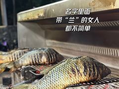 -杨合林啊兰烤鱼