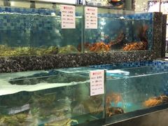 水产区-宝燕壹号(徐汇店)