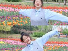 -洛阳郁金香牡丹园