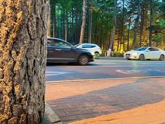 -长春市南湖公园