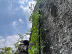 -梭布垭石林景区