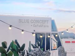 -Blue Concept Cafe&Farm·關於藍