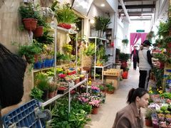 -双季花艺园艺市场(浦东店)