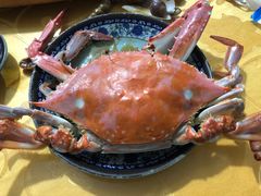 -胖大嫂渔家排档·全海景餐厅(渔村店)