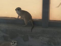 -无锡动物园·太湖欢乐园