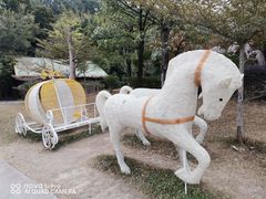 -森波拉奇妙世界