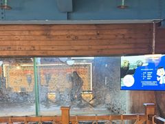 -海合安青岛极地海洋公园
