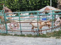 -海拉尔蒙古包(房山长阳总店)