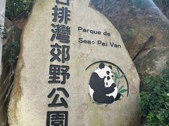 -石排湾郊野公园
