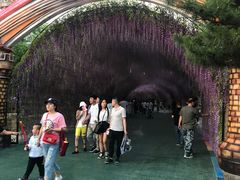 -沈阳方特欢乐世界