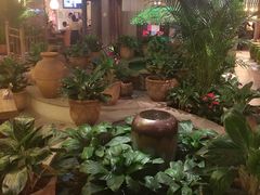 -润园四季椰子鸡火锅(海上世界店)