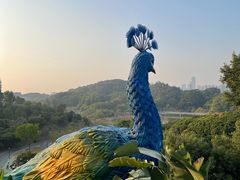 -东莞植物园