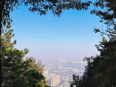 -惠山国家森林公园