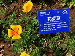 -国家植物园南园