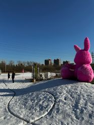 -268童话露营农场·烧烤·团建