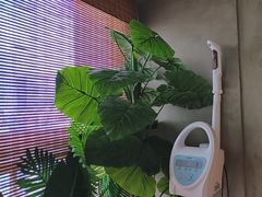 -施奈儿.洗头頭療.按摩SPA.采耳(上梅林店)