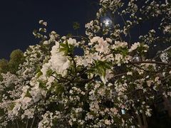 -闸弄口(地铁站)