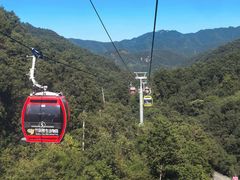 -栾川竹海野生动物园
