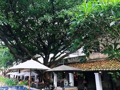 -喜洲吧·江畔老船厂·庭院餐厅(喜临院店)