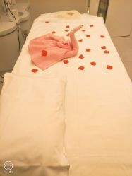 -美丽田园Beauty Farm