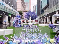 -HALO广场(梨园路店)