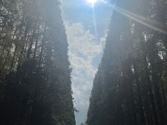 -上海怡沁园度假酒店