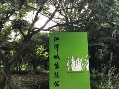 -西湖风景区-江洋畈生态公园