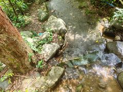 -火炉山森林公园