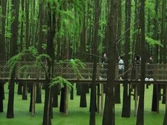 -青山湖景区