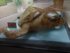 -陕西自然博物馆