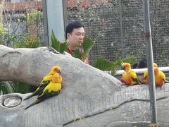 -无锡动物园·太湖欢乐园