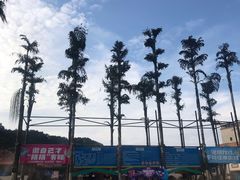 -重庆海昌加勒比海水世界