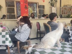 -猫小院猫主题餐厅(南锣旗舰店)