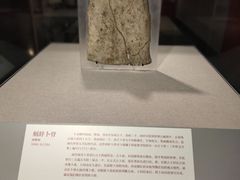 -北京大学赛克勒考古与艺术博物馆