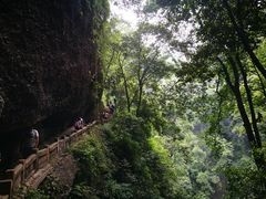 -青城山