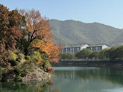 -蒋氏故居