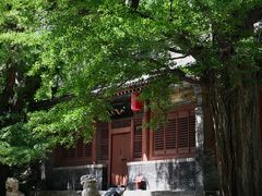 -晋祠博物馆