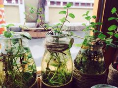 薄荷-长颈鹿咖啡(大学路店)