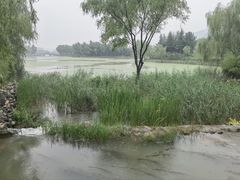 -函谷关历史文化旅游区