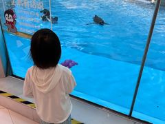 -帝企鹅自助餐厅•儿童岛•真企鹅(长隆企鹅酒店)