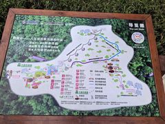 -野象谷景区