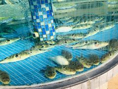 -天怡·鱼工厂(临江店)