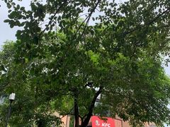 -肯德基(万科城店)