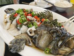 剁椒蒸鲈鱼-道南書院·私房菜·早午茶·茶馆