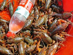 -大学城夜市大排档(凤栖路店)