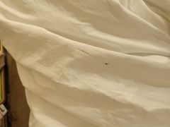 -海创大连科技交流中心(海事大学地铁站店)