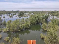 -黑河国家森林公园